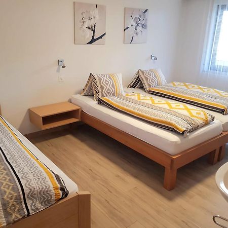 Ferienhaus Adonis Apartment Saas-Grund Ngoại thất bức ảnh